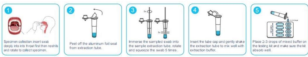 新冠、呼吸道合胞體、腺病毒、肺炎支原體、甲乙流6合1抗原快速檢測試劑盒SARS-CoV-2/RSV/ADV/MP& Flu A/B Antigen Rapid Test Kit